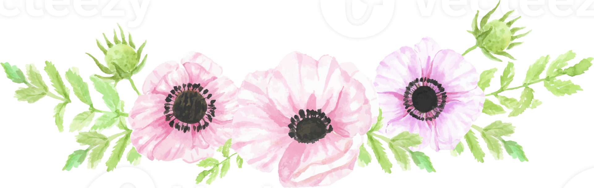 acquerello mano disegnato anemone fiore mazzo png