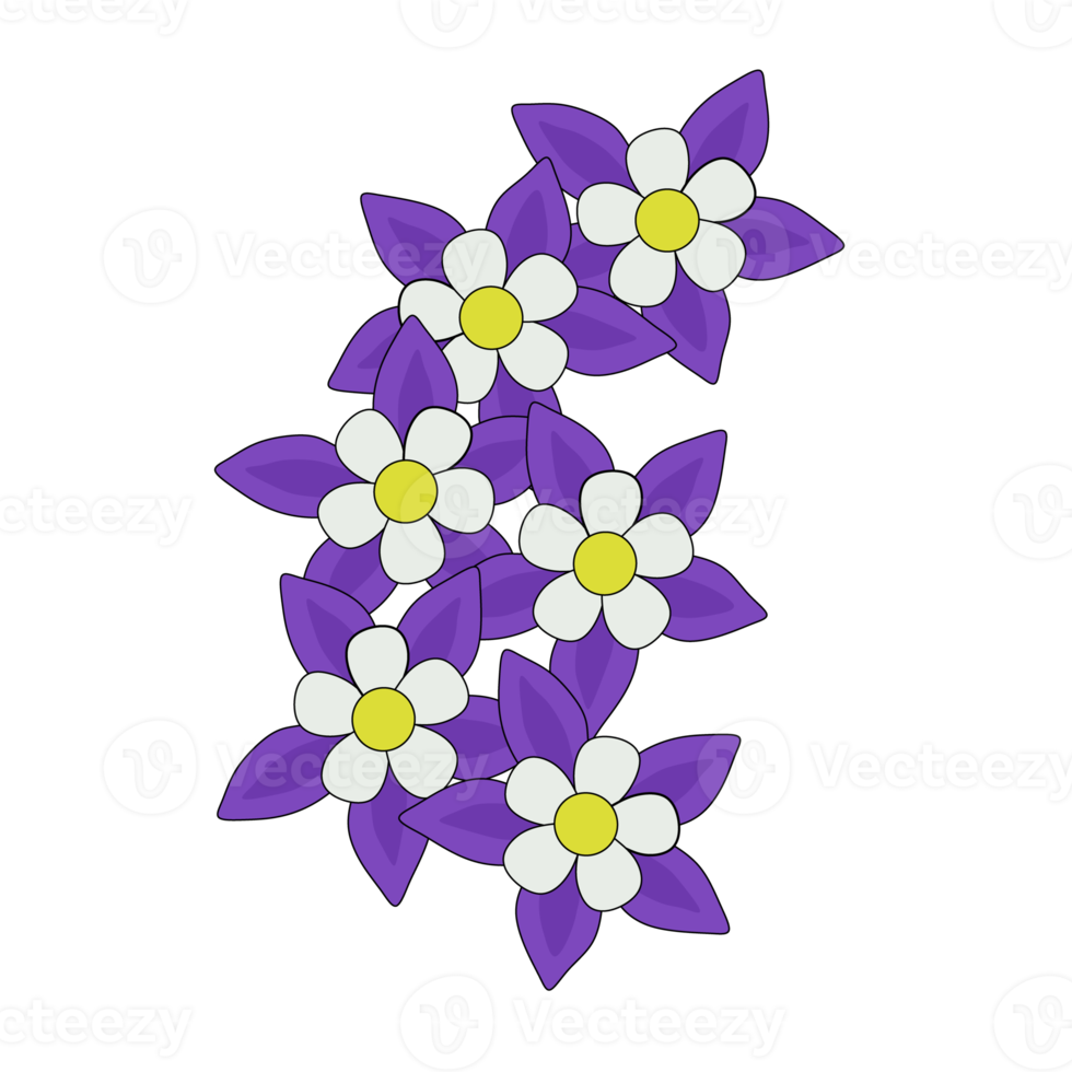 Purple flower Aquilegia columbine, of the inverted flower to five doves clustered together png