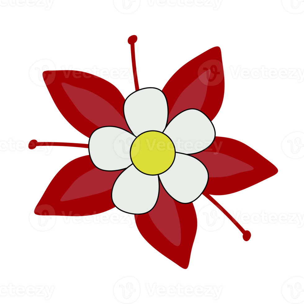 Red flower with white petal, pink background png