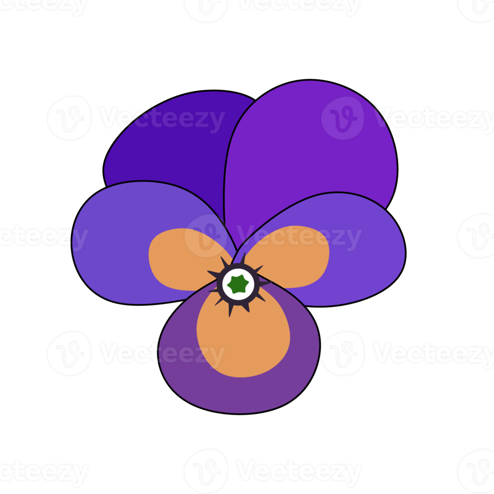 viola de pensamiento de flor morada, las flores son típicamente de dos tonos, siendo azul, violeta y lavanda los colores típicos png