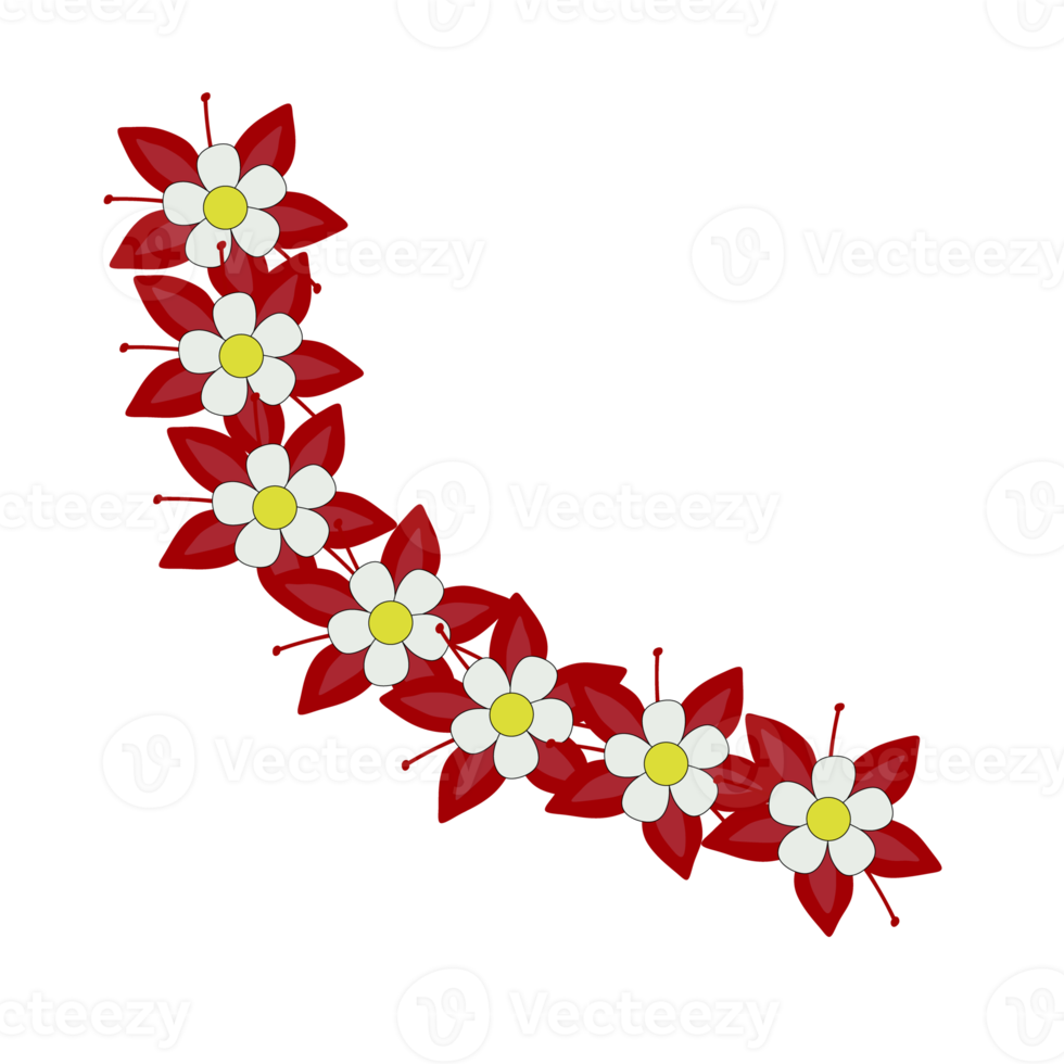 Red flower with white petal, pink background png