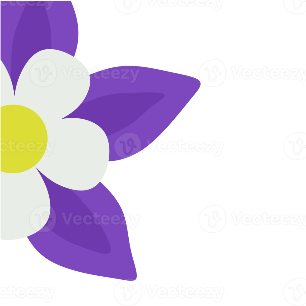 Purple flower Aquilegia columbine, of the inverted flower to five doves clustered together png