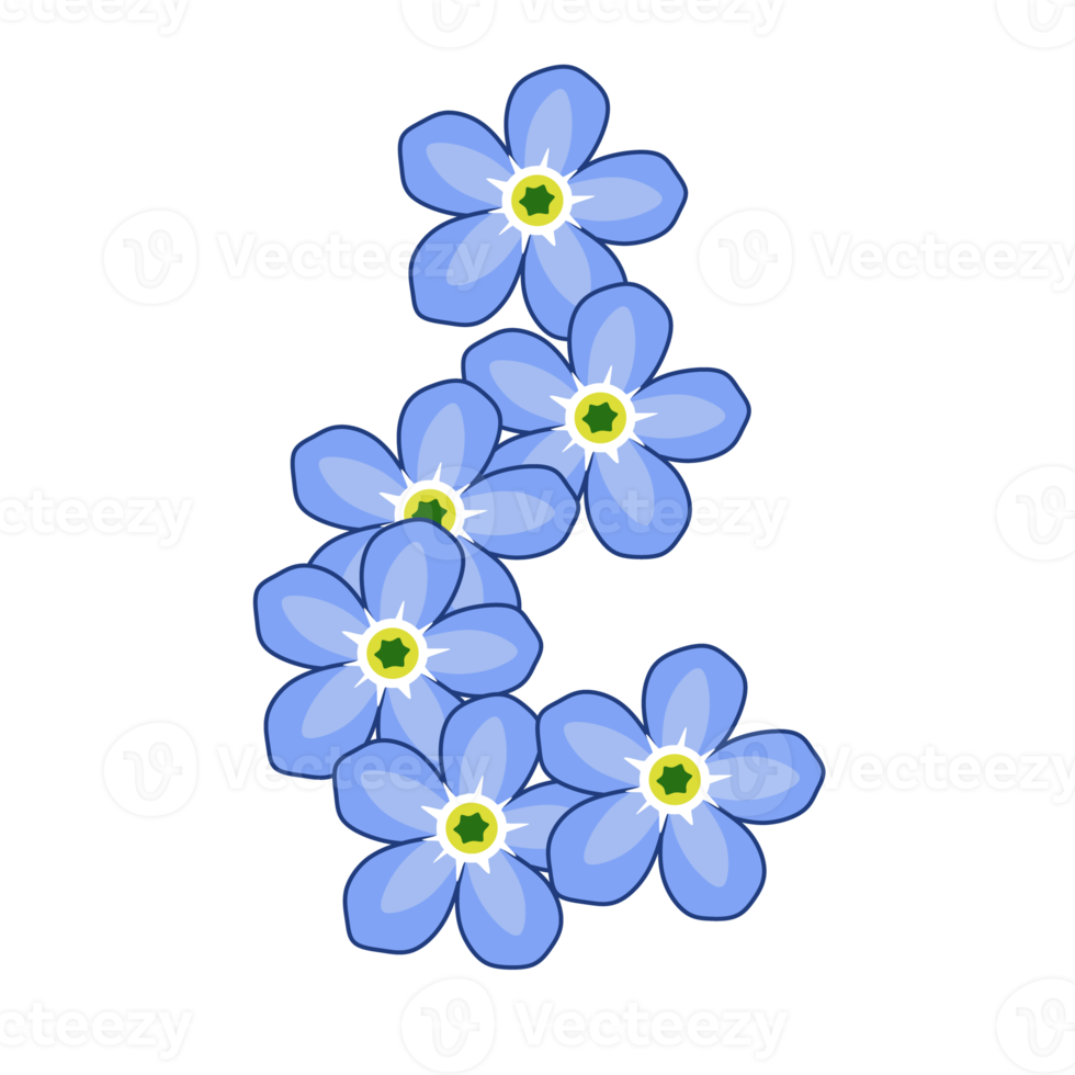 forget me nots png