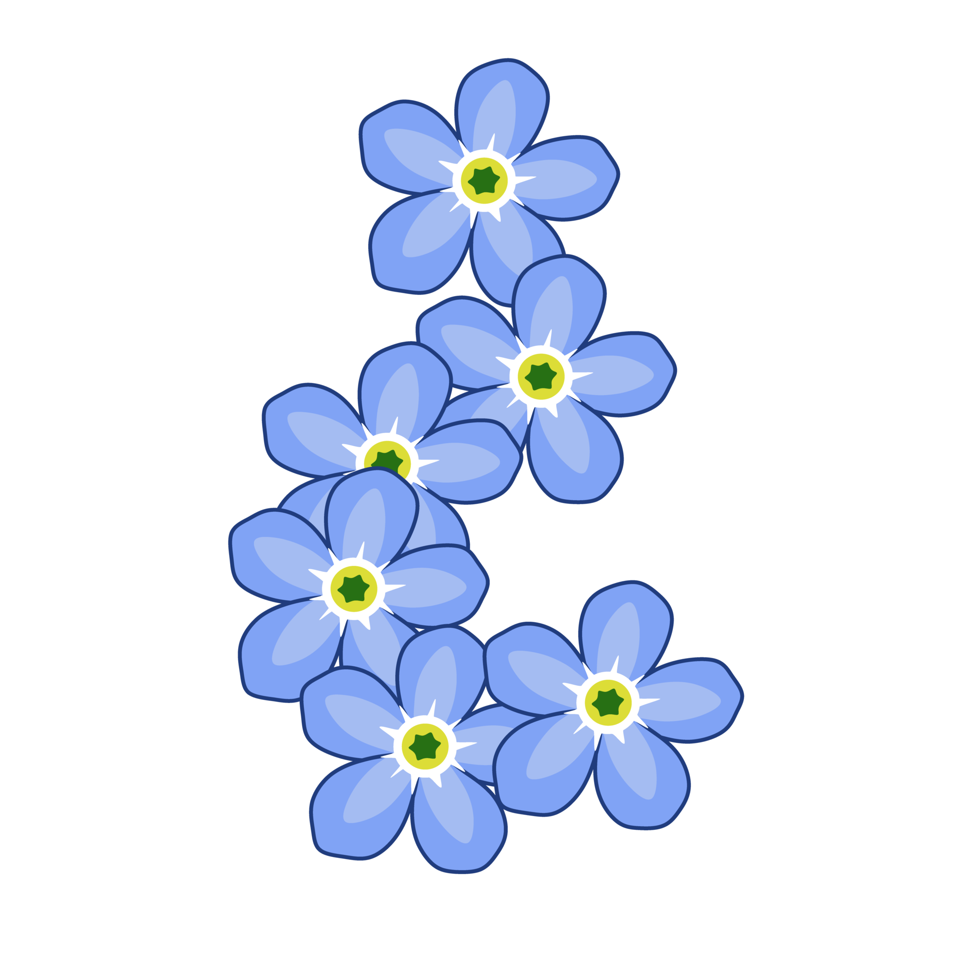 me nots 13078860 PNG