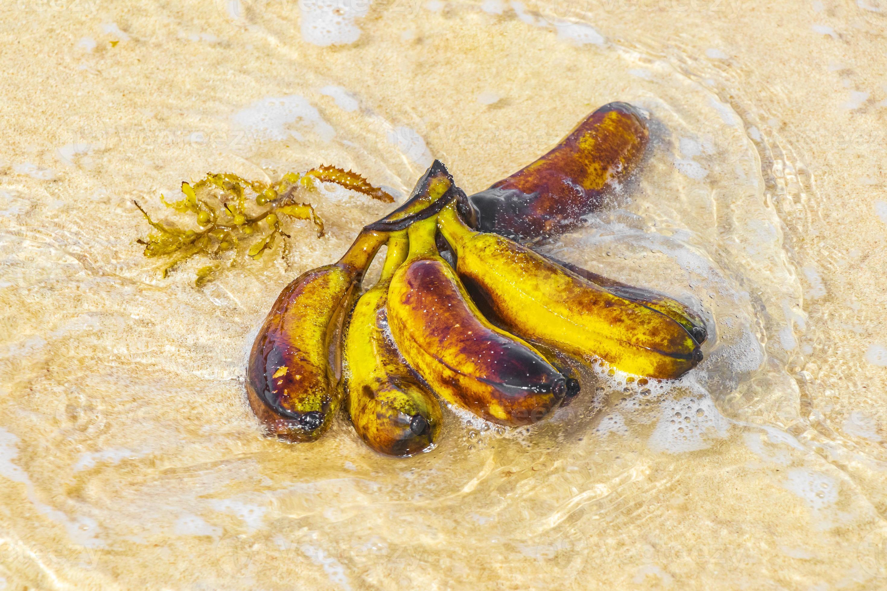Banana bundle fruits floats in water on beach in Mexico. 13078925 Stock