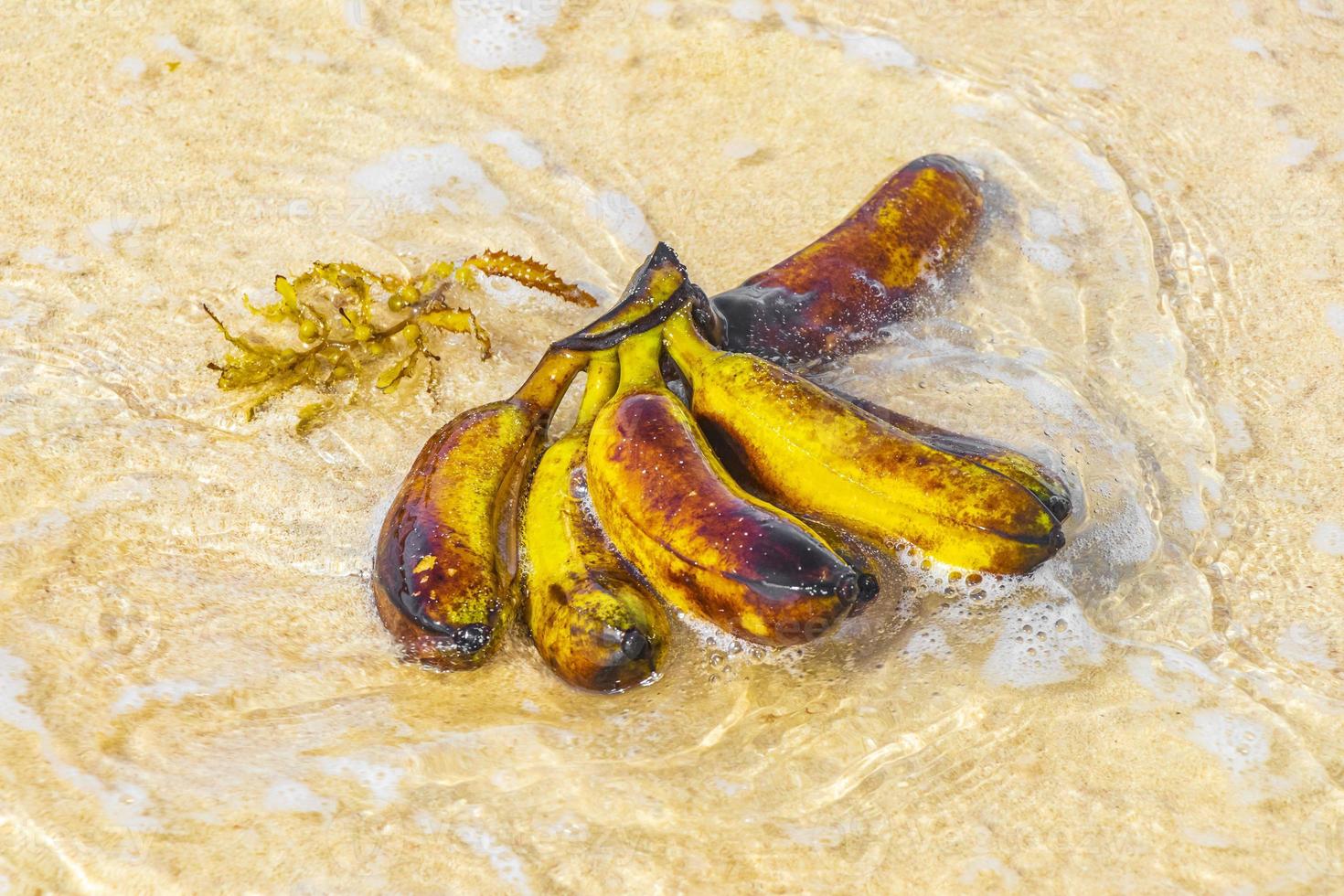 Banana bundle fruits floats in water on beach in Mexico. 13078925 Stock