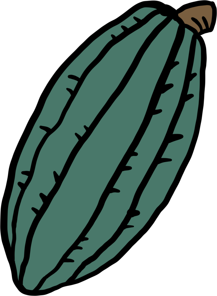 dibujo de garabato de fruta de cacao png