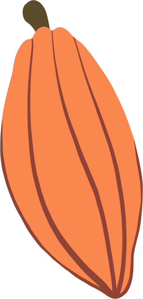 cacao fruit doodle drawing png