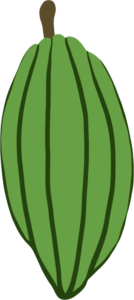 dibujo de garabato de fruta de cacao png