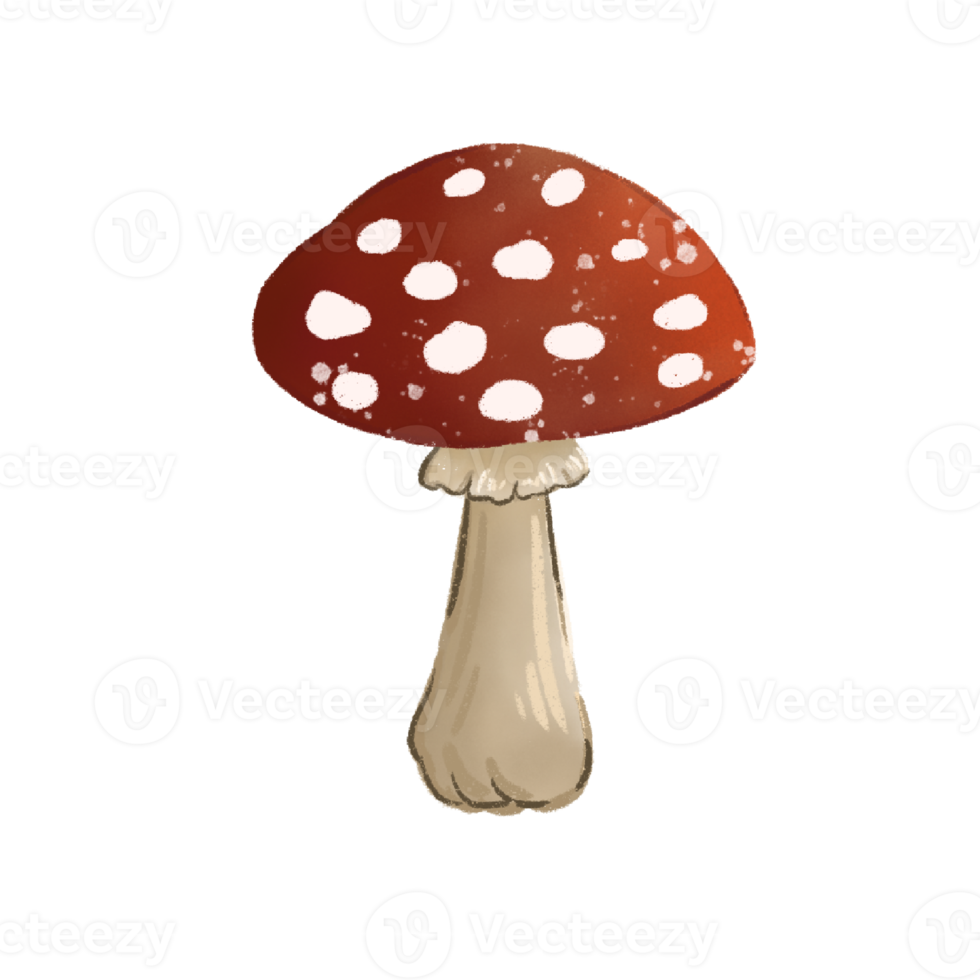 illustration de crayon de champignon png