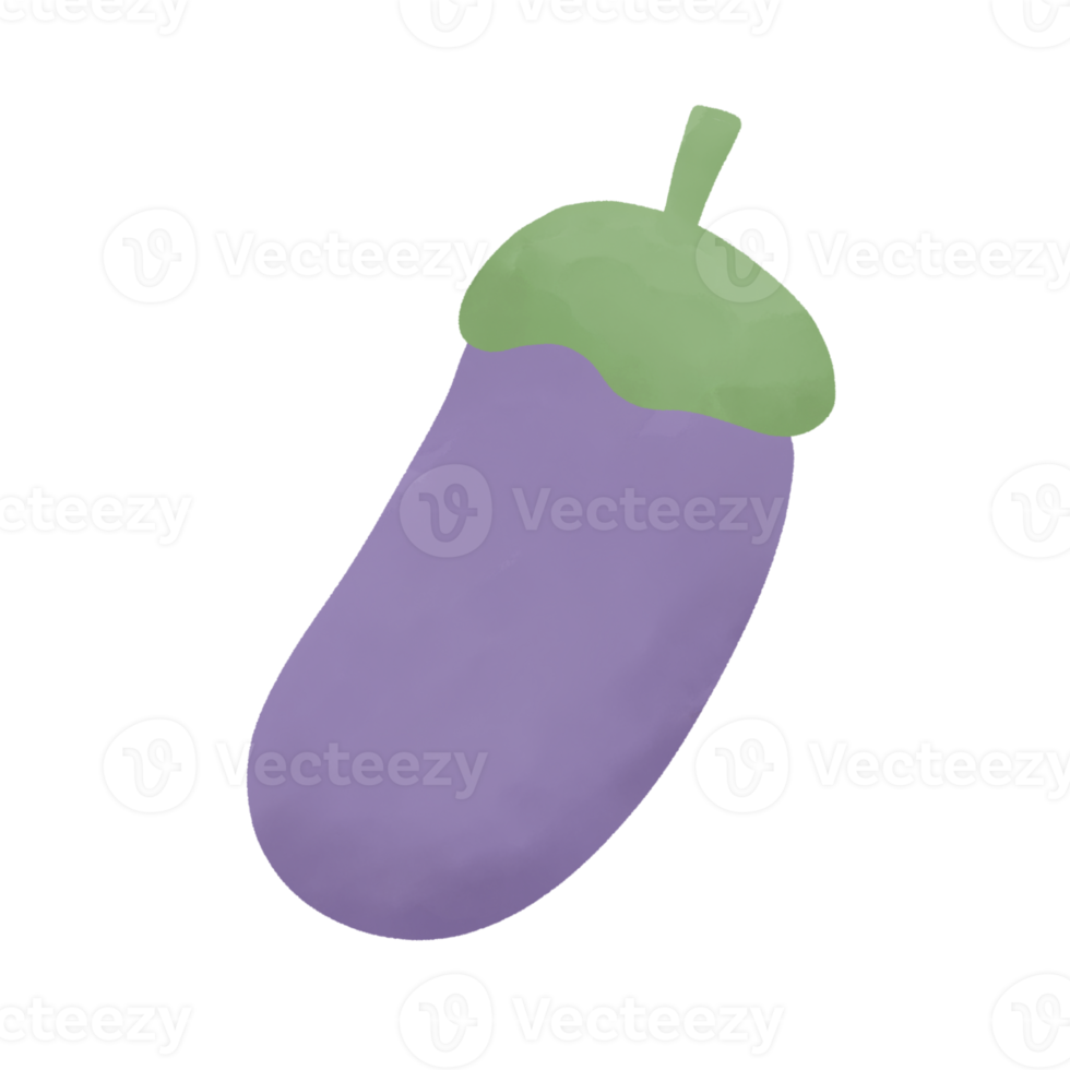 hand drawn eggplant for decorative png