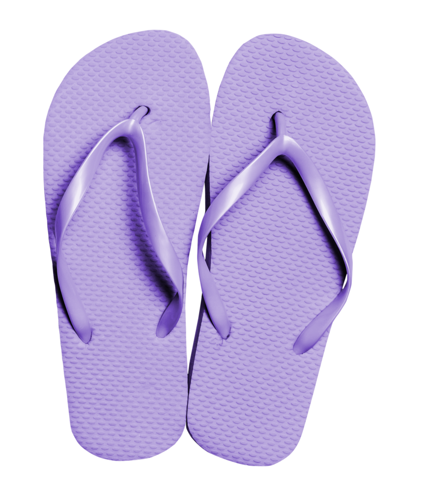 purple flip flops png