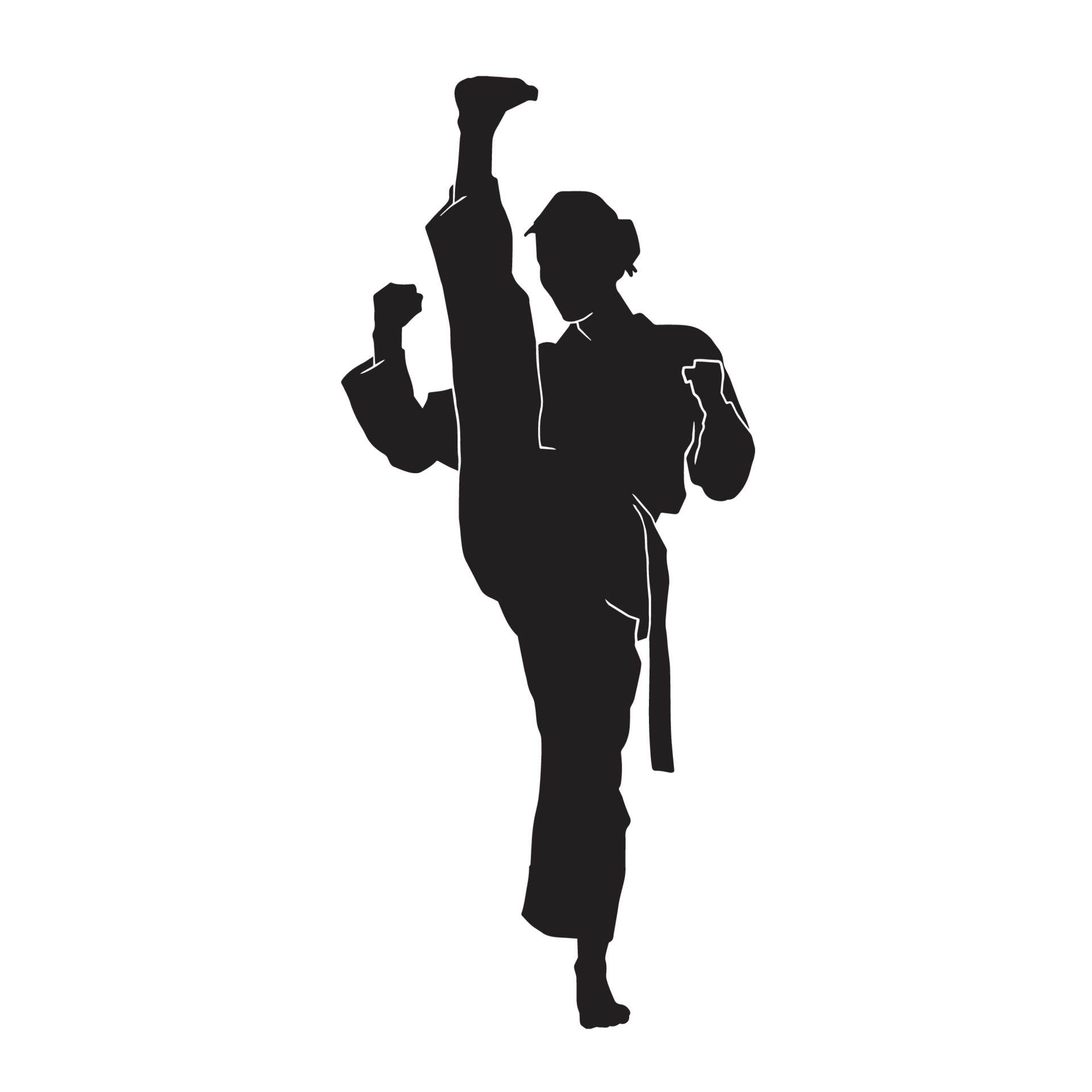 Young woman karate kata martial arts athlete vector silhouette on white ...