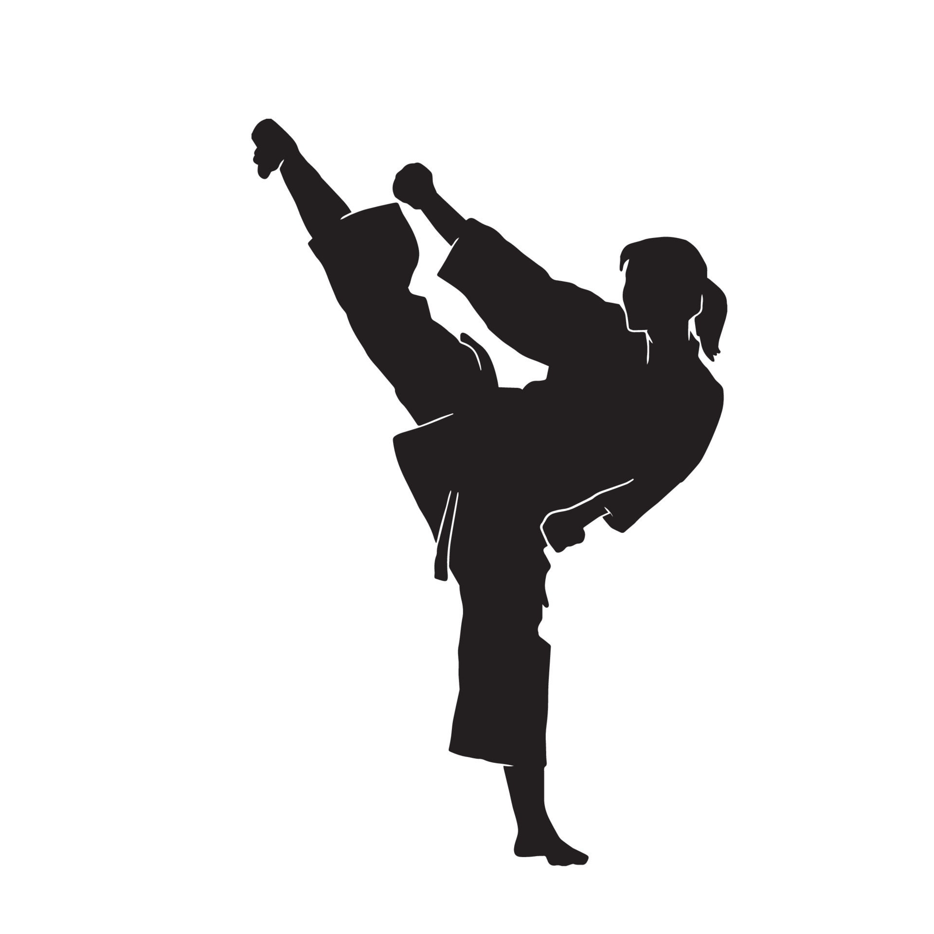 Young woman karate kata martial arts athlete vector silhouette on white  background 13081680 Vector Art at Vecteezy