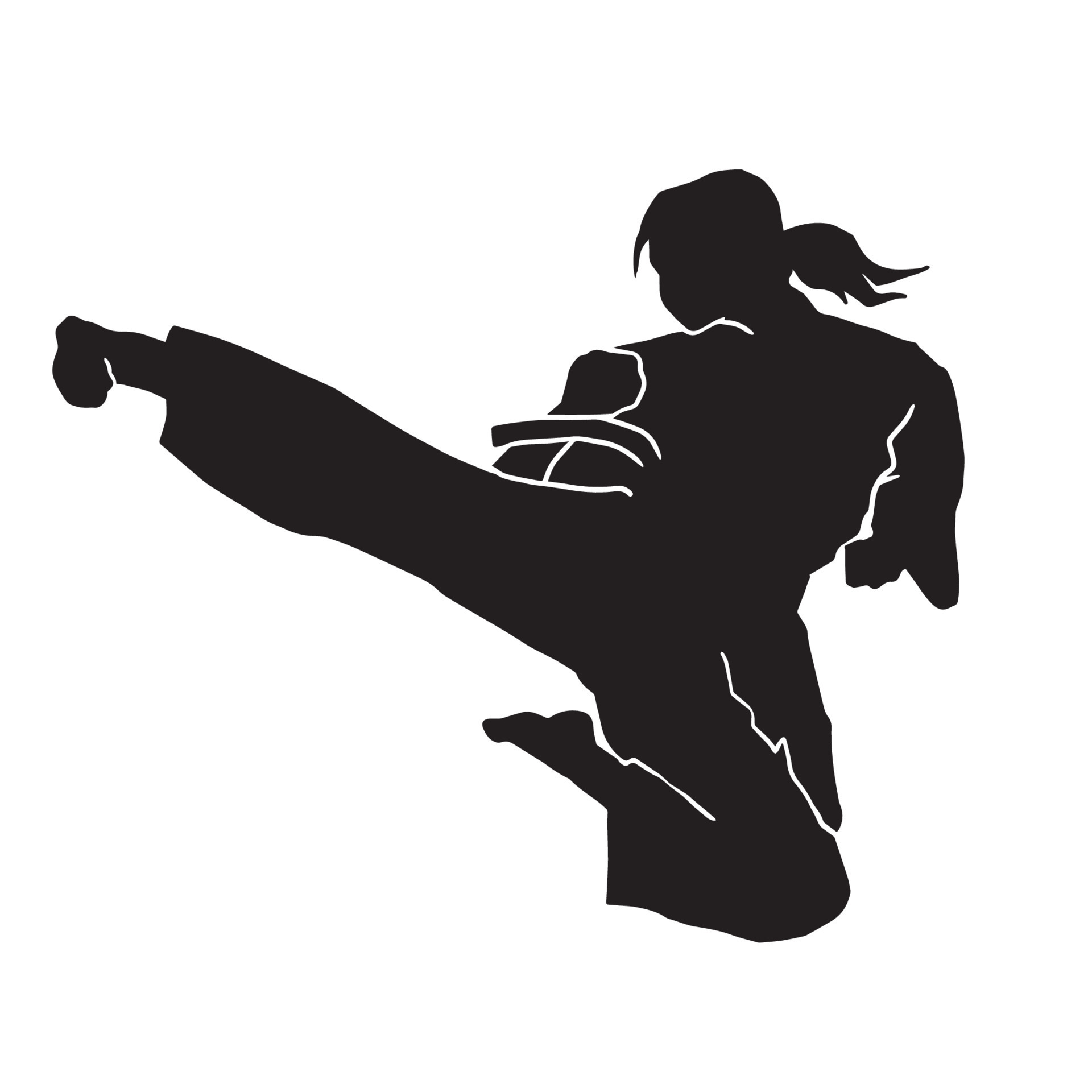Người vận động viên Karate được phác thảo như một bóng đen trên nền cảnh tuyệt đẹp. Cảm nhận sức mạnh và tinh thần không ngừng cùng hình ảnh đầy ấn tượng này.