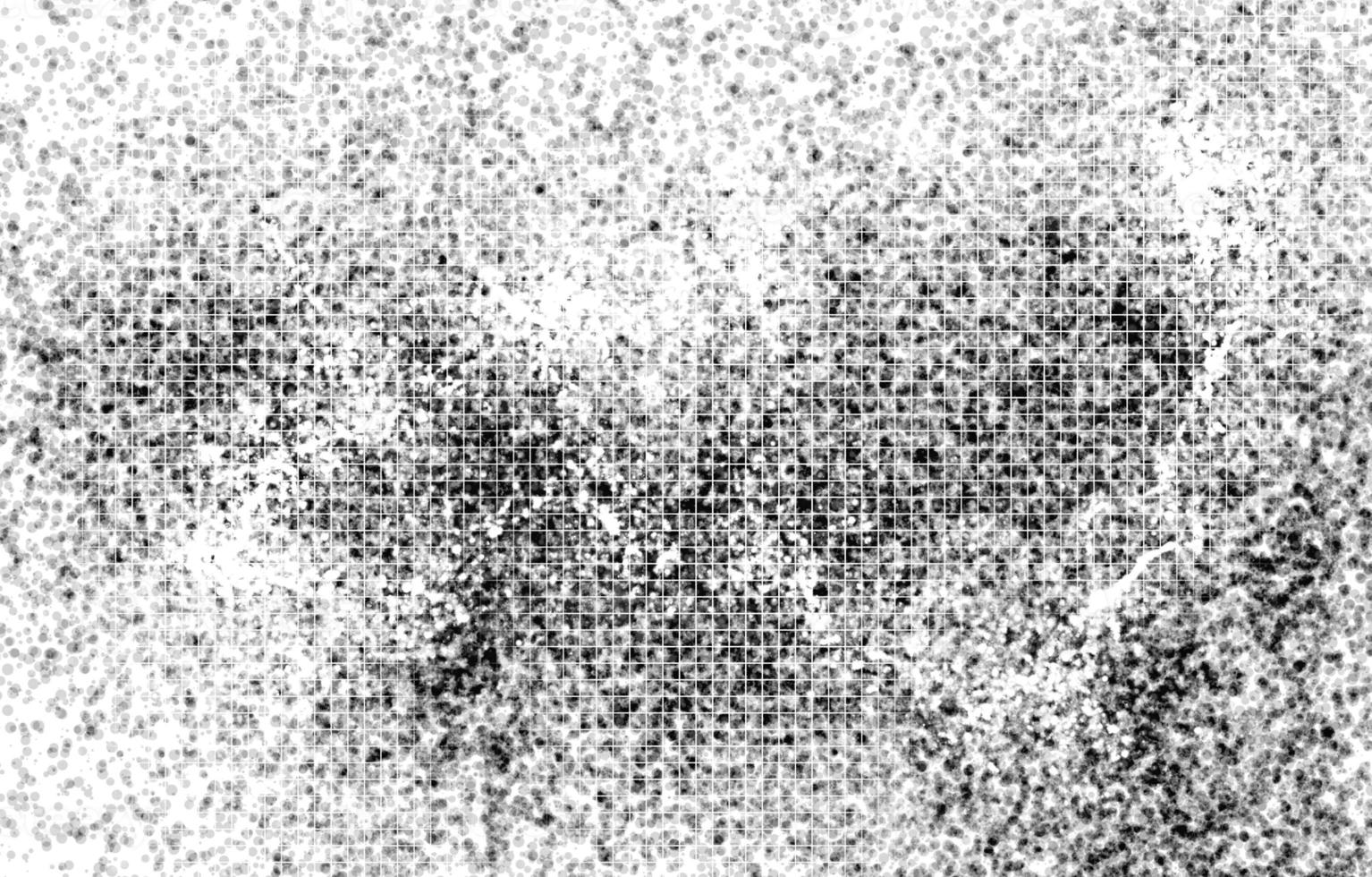 Scratch Grunge Urban Background.Grunge Black And White Urban. Dark Messy Dust Overlay Distress Background. photo