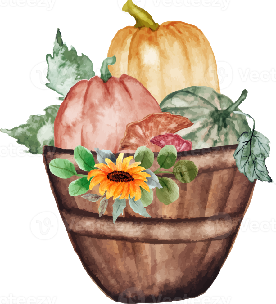 bucket with pumpkins and mushroom png