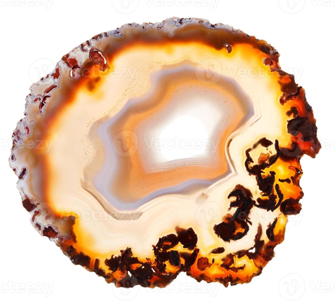 natural agate slice isolated photo