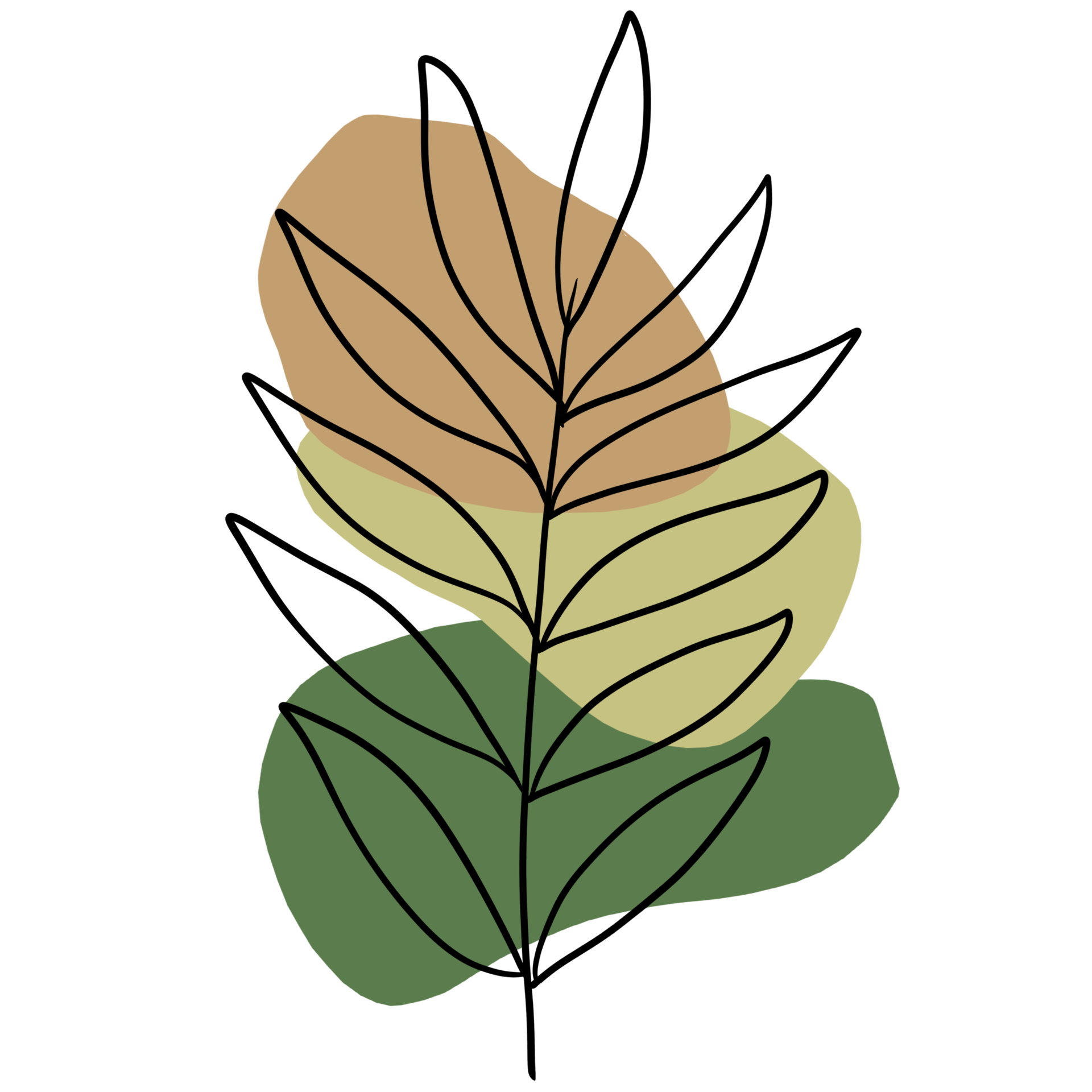 Free Hand drawn tropical flower and forest leaves with shapes elements 13083179 PNG with