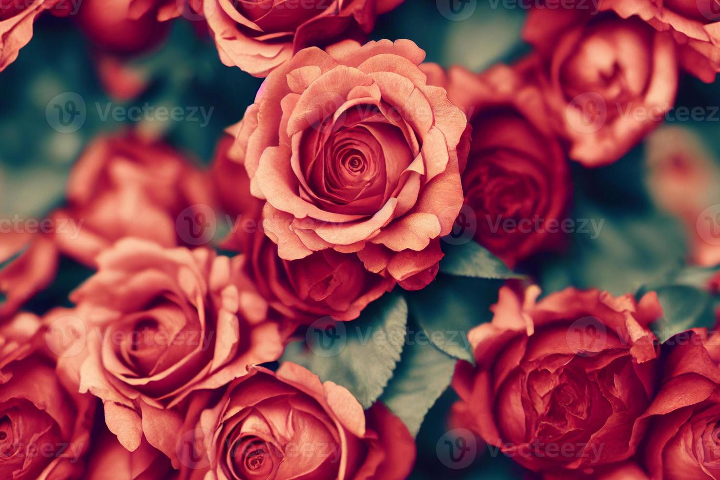 Seamless pattern of red roses. Romantic floral repeatable background, backdrop, wallpaper. photo