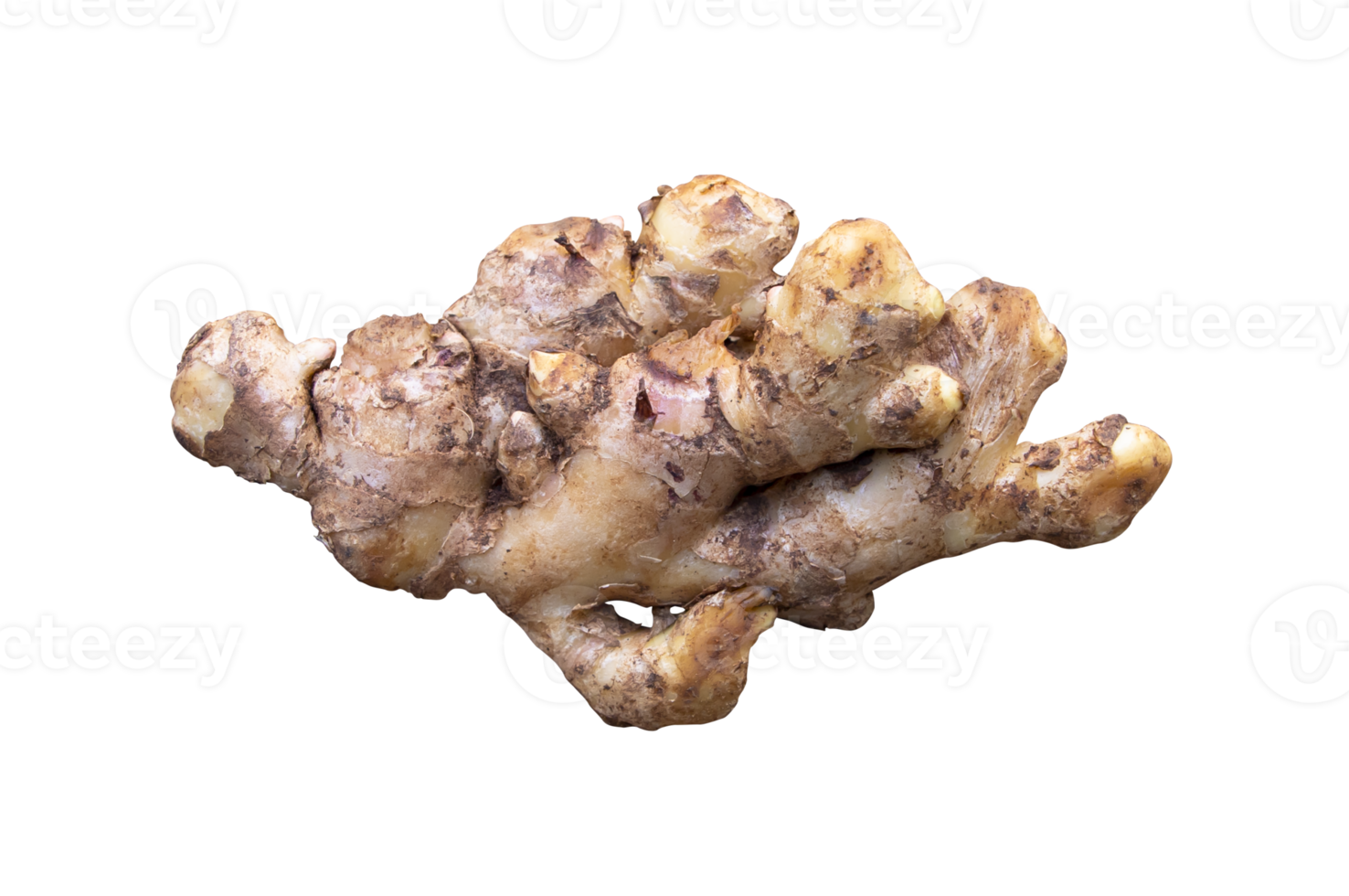 Natural Raw ginger root isolated on the background png