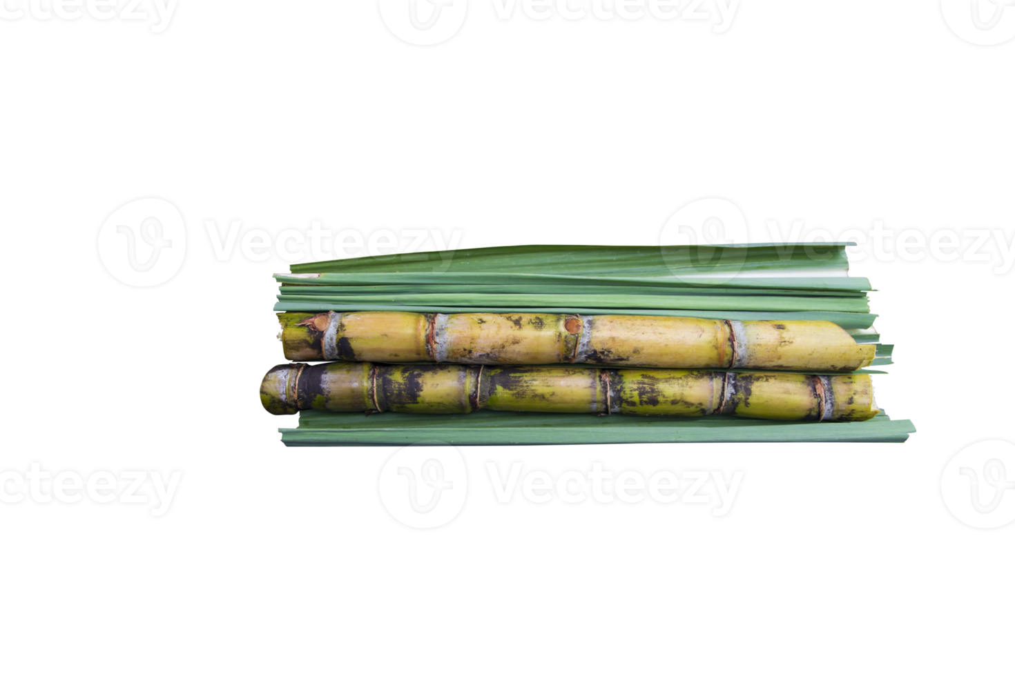 Fresh organic sugarcane with leaf isolated on the background png