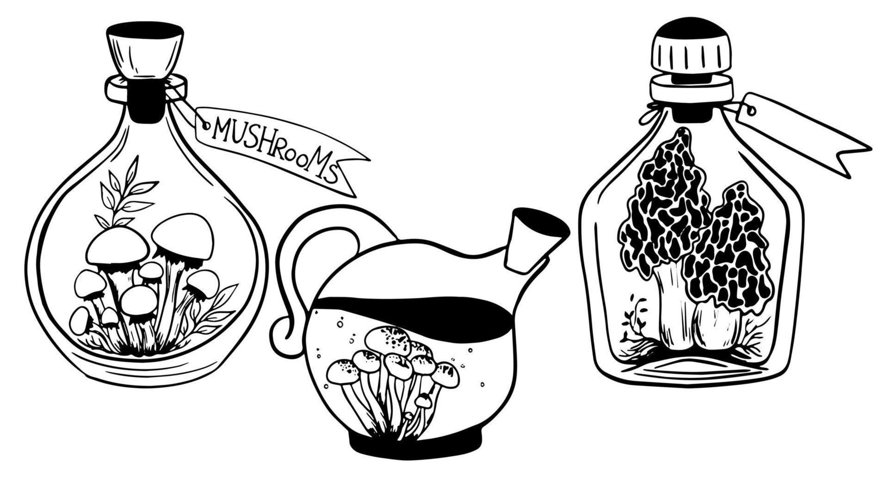 set of three magic bottles with mushrooms and leaves inside, cork and label. glass bottle with potion,  magic elixir. for witches, Halloween, alchemy. Mushrooms of honeydew, shiitake, morels vector