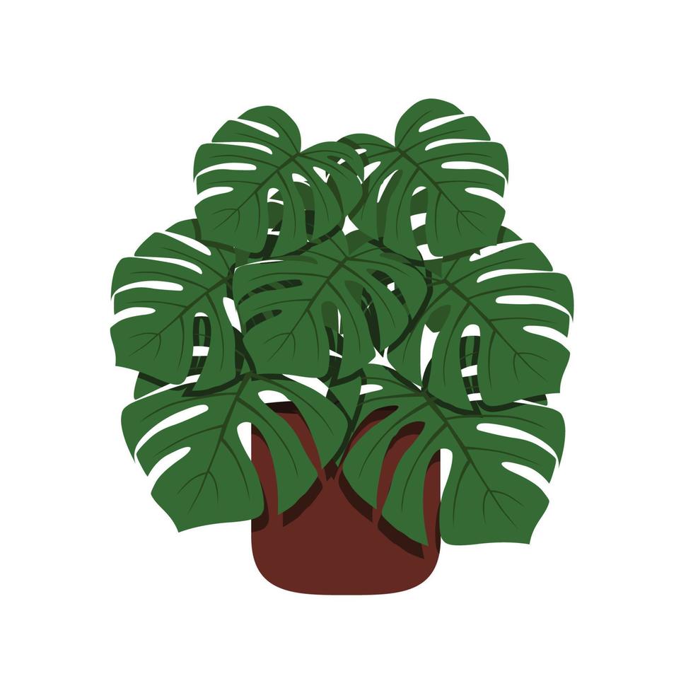 Monstera in a flower pot isolated. Tropical plant for interior decor of home or office. Vector illustration.