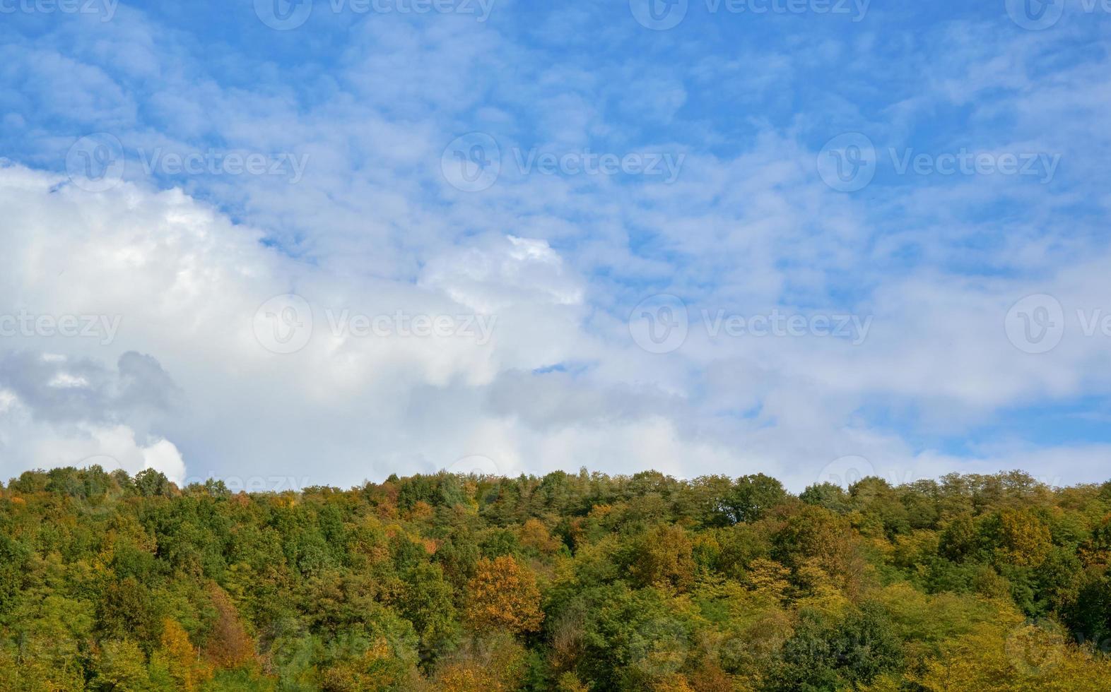 cielo azul con nubes, debajo del bosque con árboles de varios colores. foto