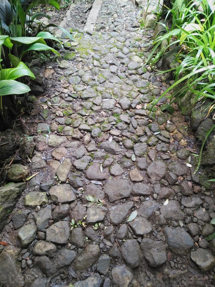 paths made of natural stone adorn the yard so that the yard looks unique and beautiful photo