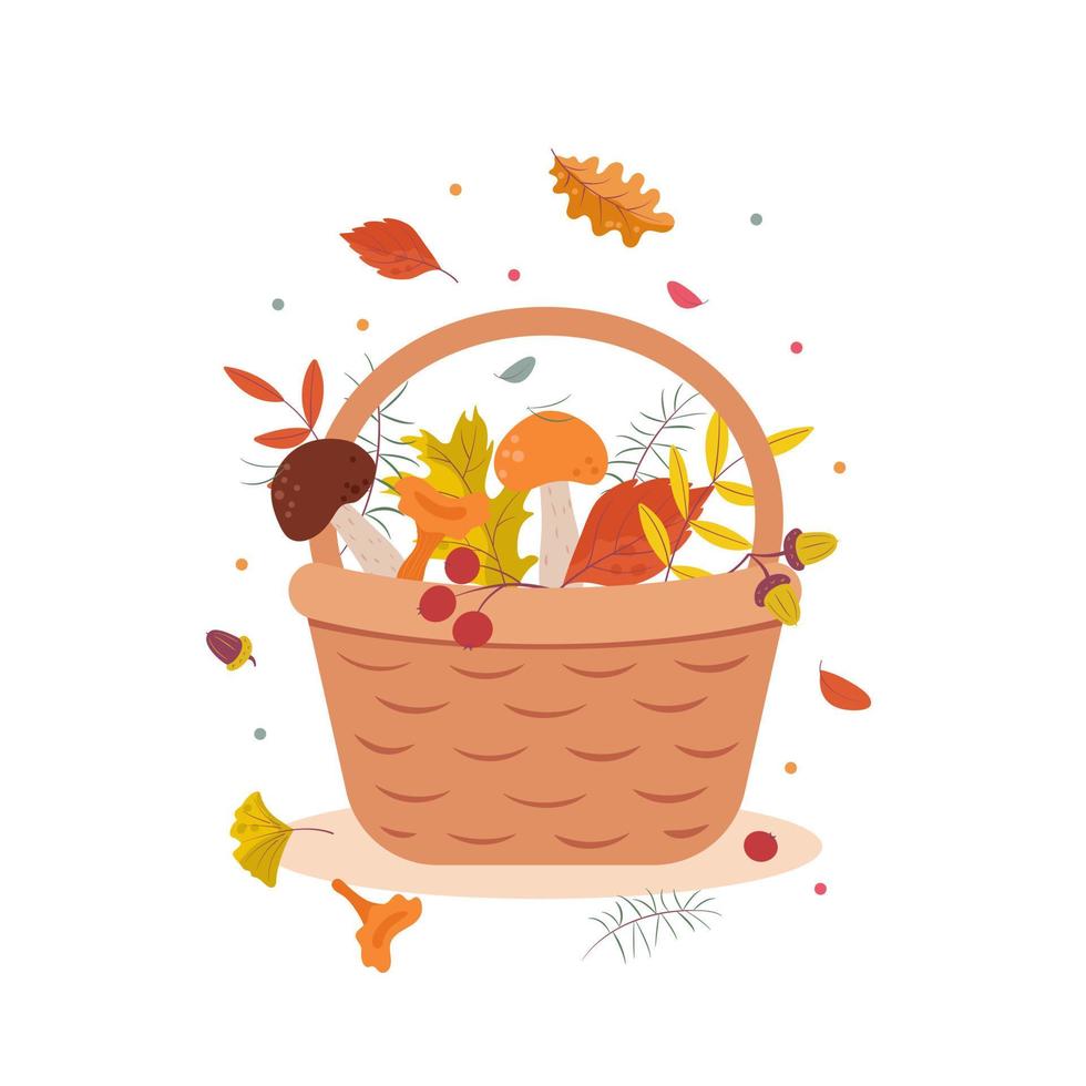 Basket with autumn leaves, berries, mushrooms, acorns, oak leaves. Leaf fall. Traditional attributes of the autumn season. Vector illustration