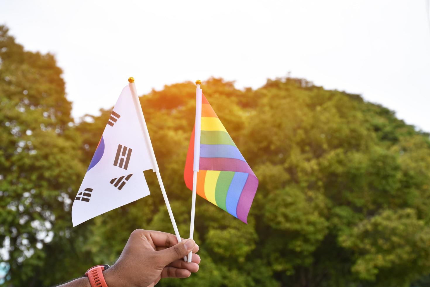 Rainbow flag and South Korea national flag holding in hand, soft and selective focus, concept for celebration of lgbtq plus in pride month around the world. photo