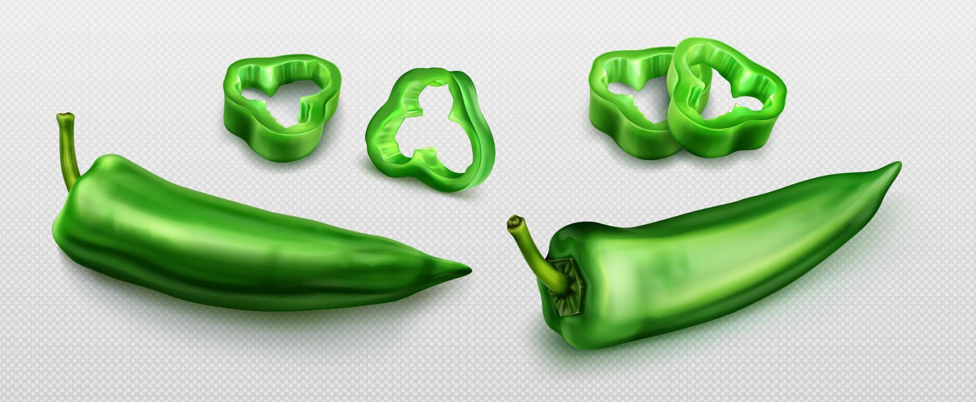 Green hot chili pepper, 3d cayenne with slices vector