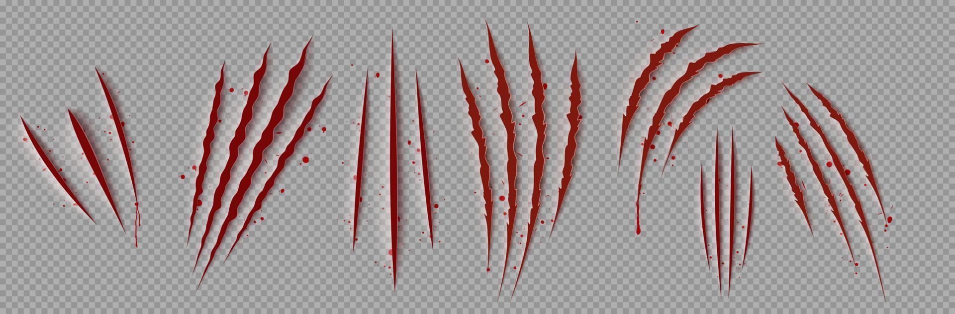 Bloody claw marks realistic png, 3D vector