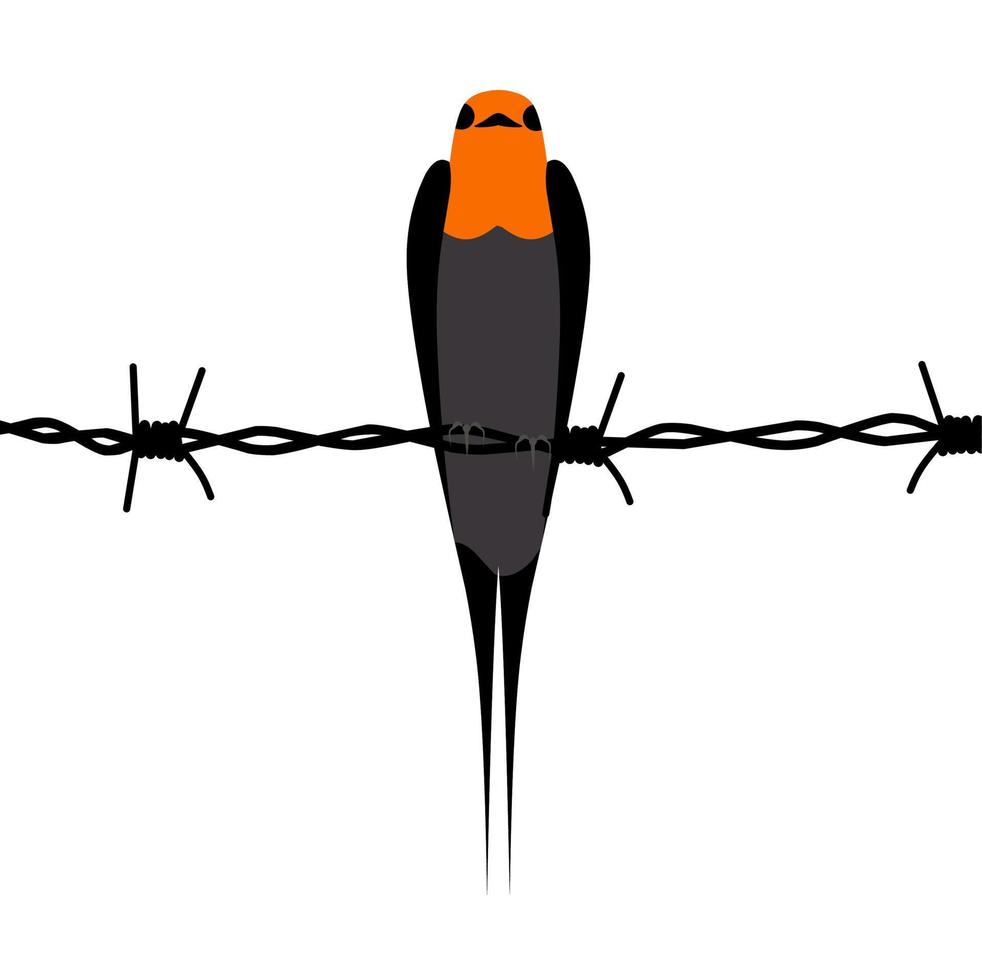 Swallow silhouette perched on barbed wire. Sriti bird design concept isolated on a white background. Perfect for posters about birds. Vector illustration