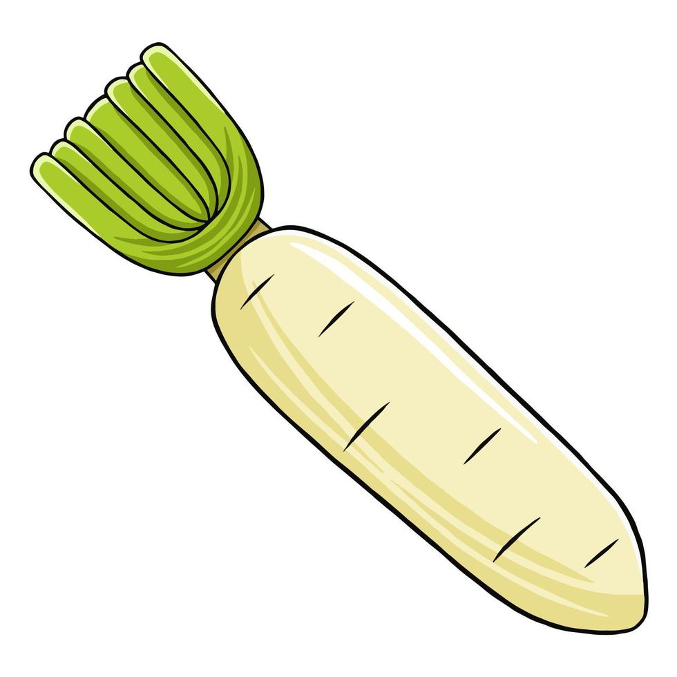 Radish in Vector Style Illustration