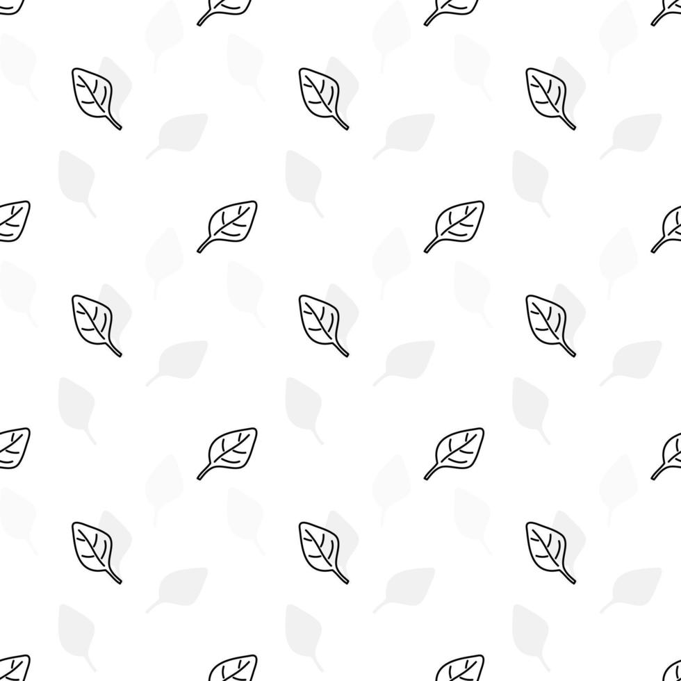 Doodle black and white outline with transparent background, herb leaves seamless pattern. vector