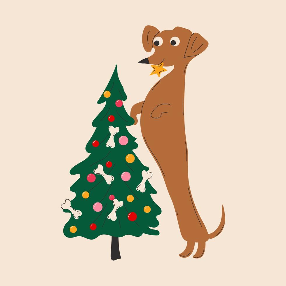 Dachshund dog decorates a Christmas tree vector illustration on white background