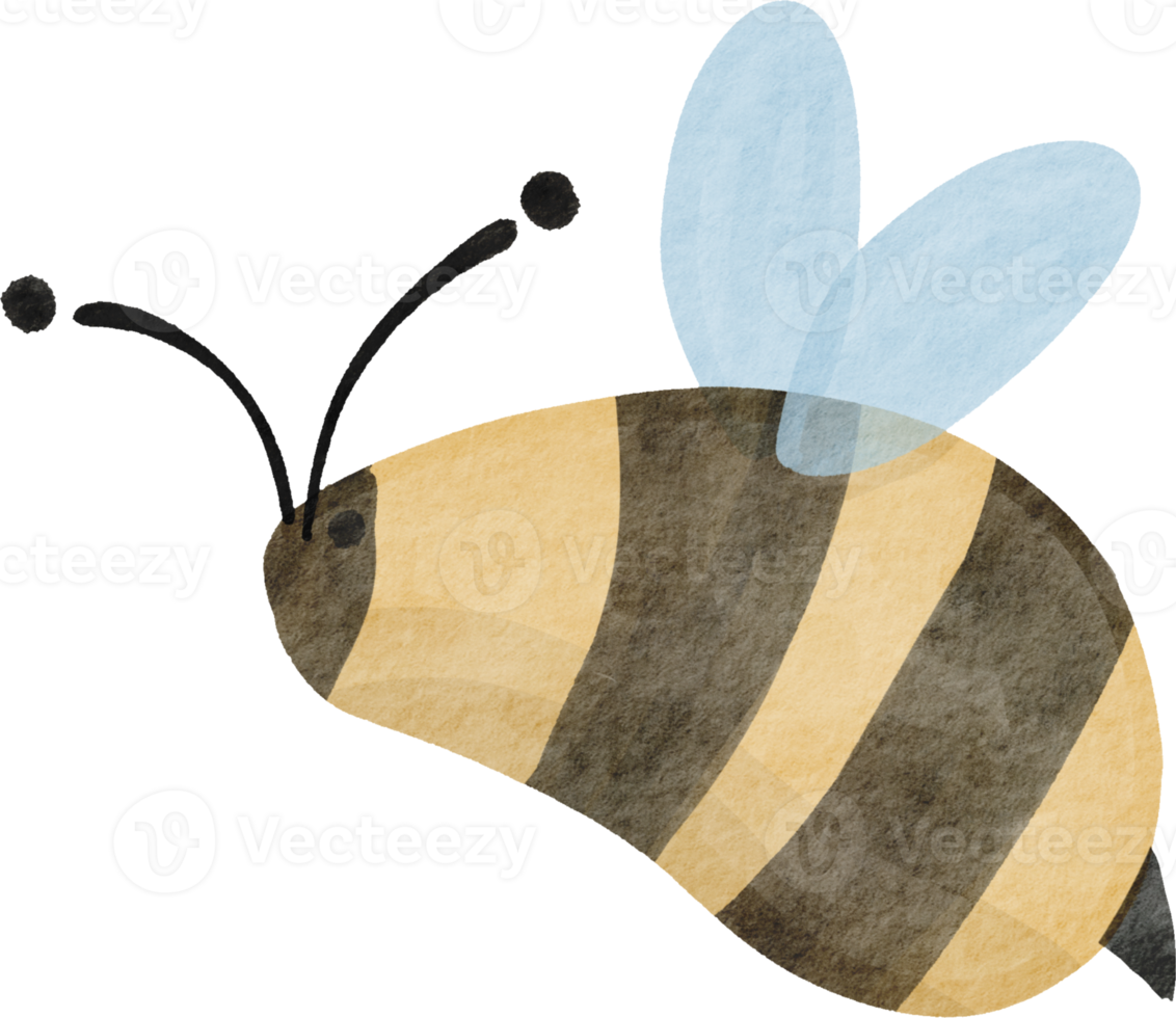 Watercolor cute bee png