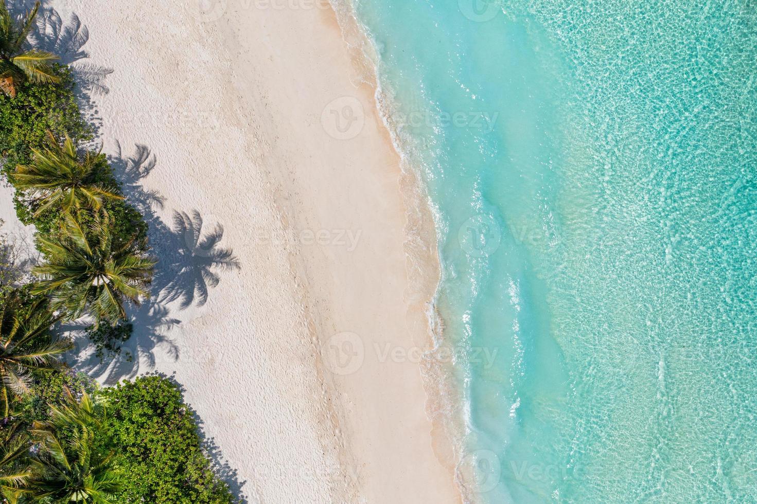 Aerial top view on sand beach. Tropical beach with white sand turquoise sea, palm trees under sunlight. Drone view, luxury travel destination scenic, vacation landscape. Amazing nature paradise island photo