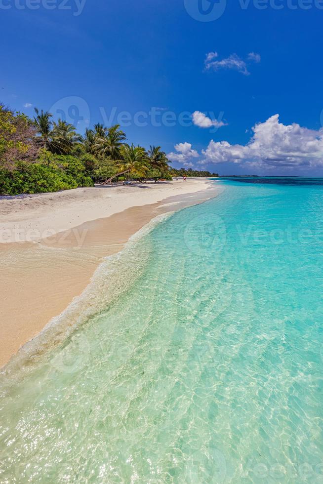 Island palm tree sea sand beach. Exotic beach landscape. Inspire tropical beach seascape horizon. Sunny blue sky beautiful relax calm summer mood. Vacation travel holiday banner, luxury destination photo