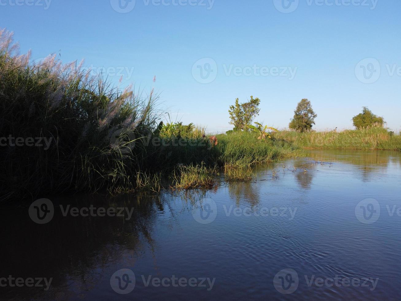 Streams meander in agricultural areas during the rainy season with plenty of water. Green and warm in the morning sunshine. photo