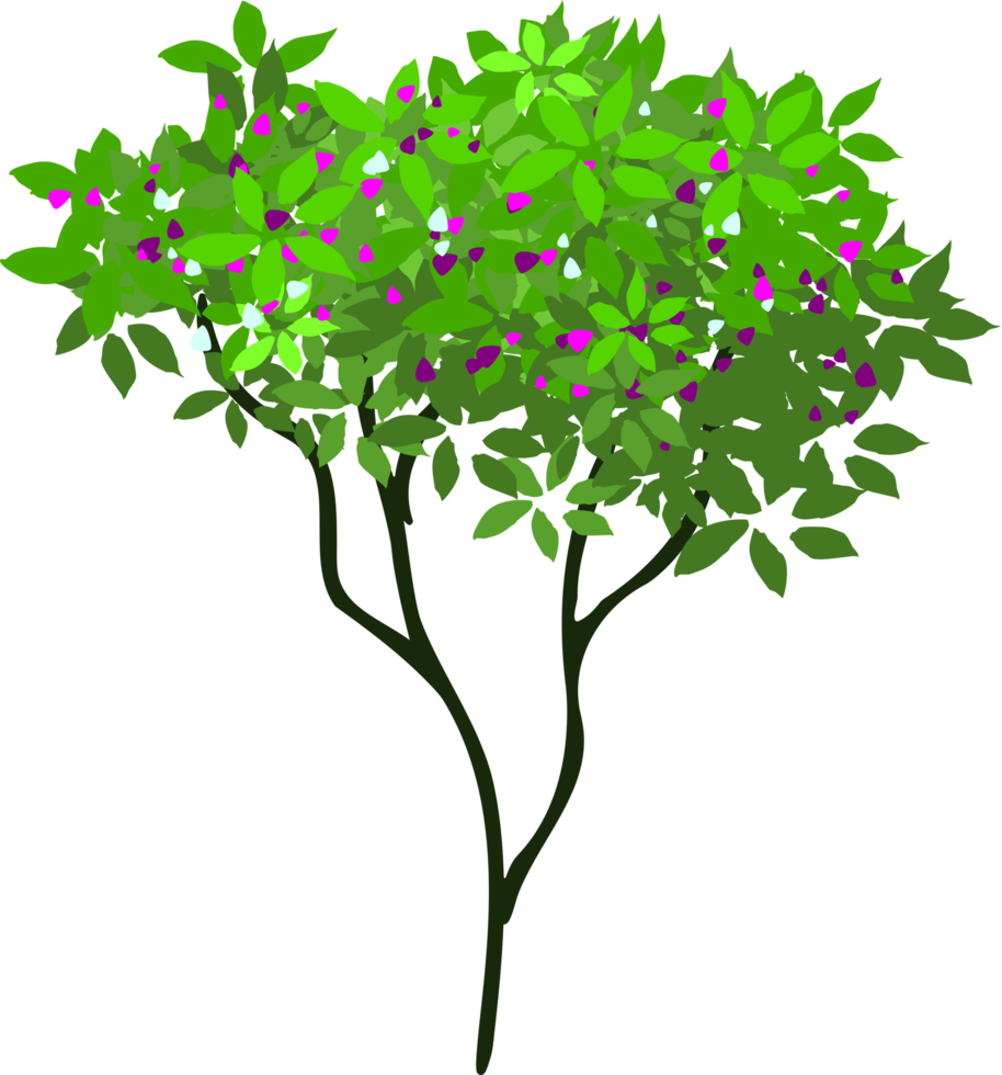 árbol ilustración png