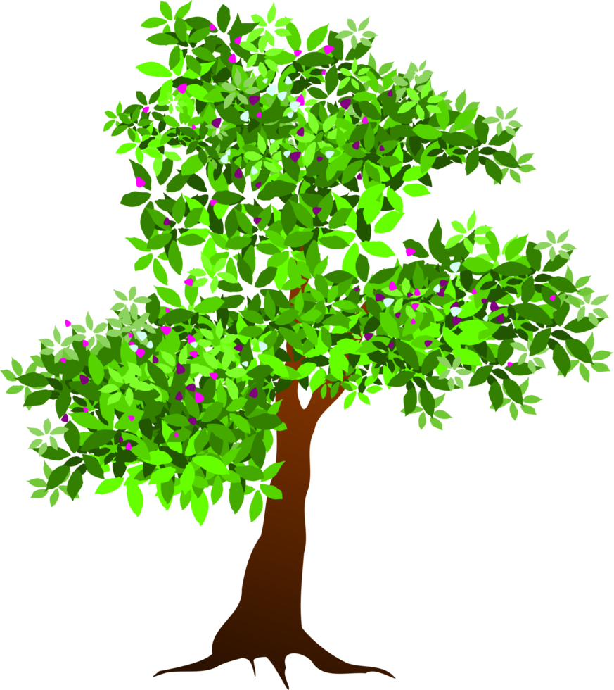 tree illustration png