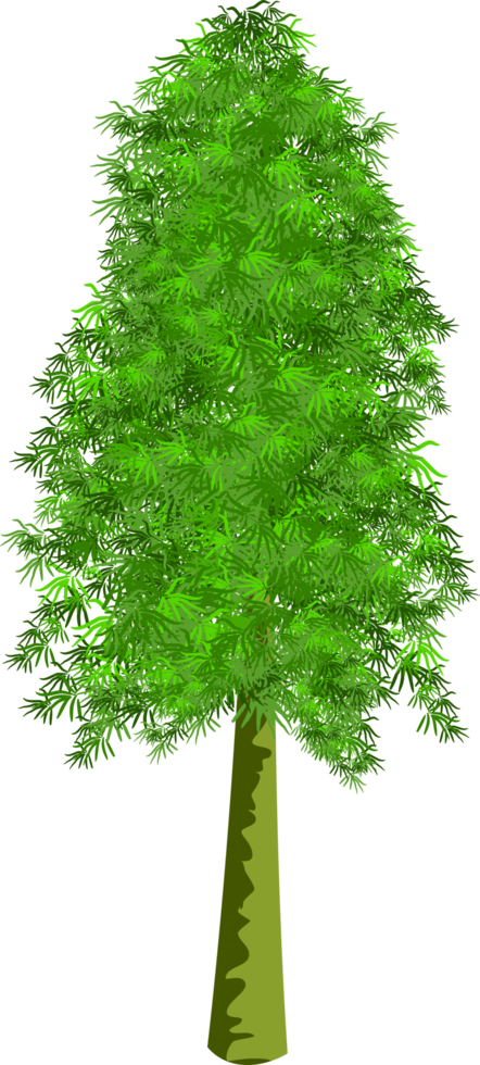 pine tree clip art png