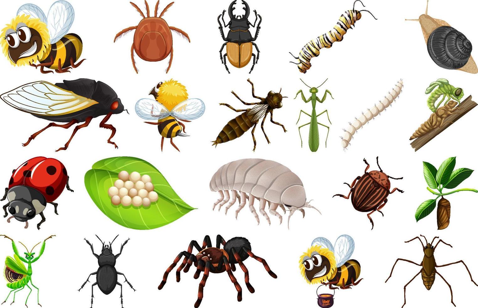 colección de diferentes tipos de insectos vector