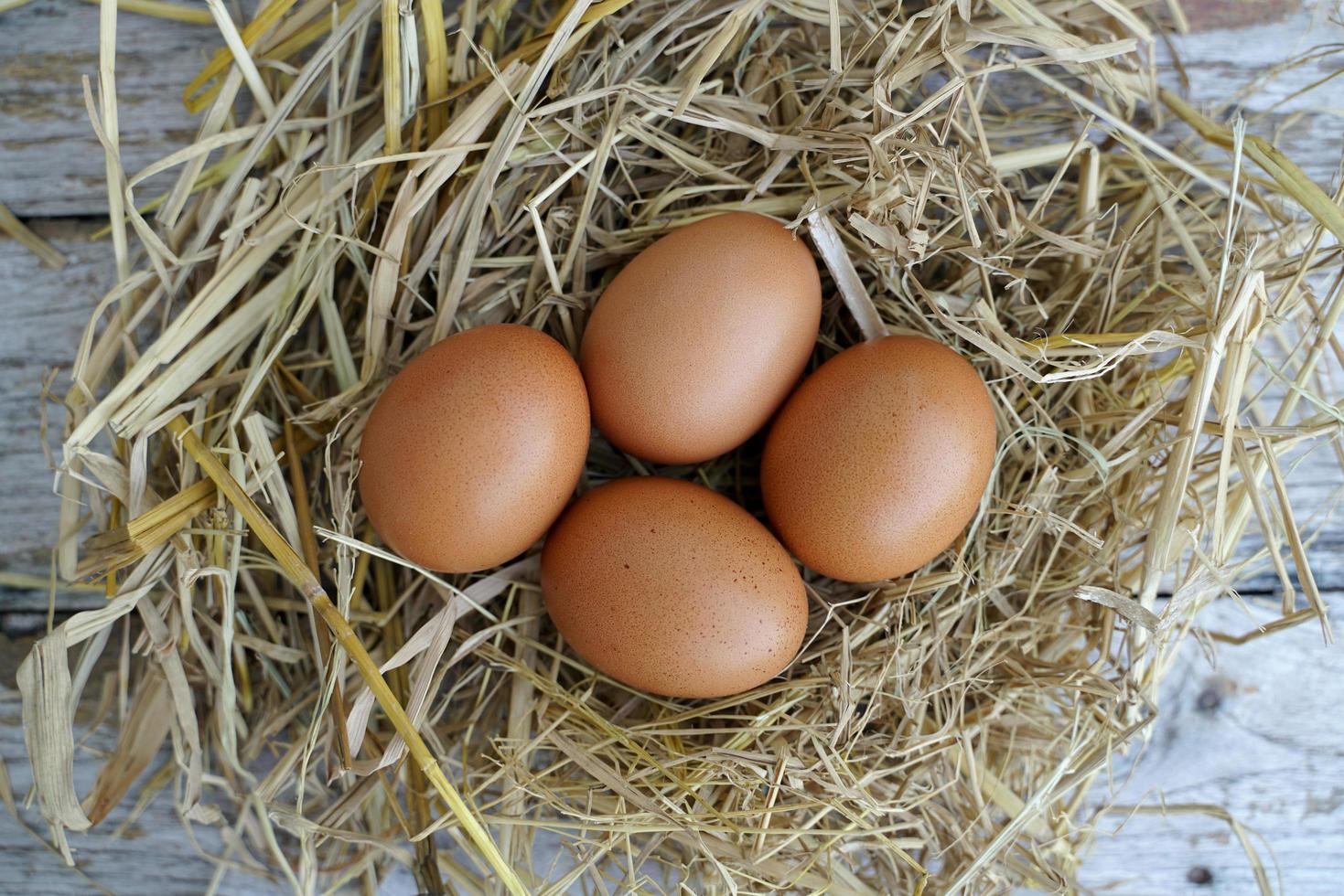 Fresh chicken eggs on dry straw and wooden table in rural village farm in Thailand. photo