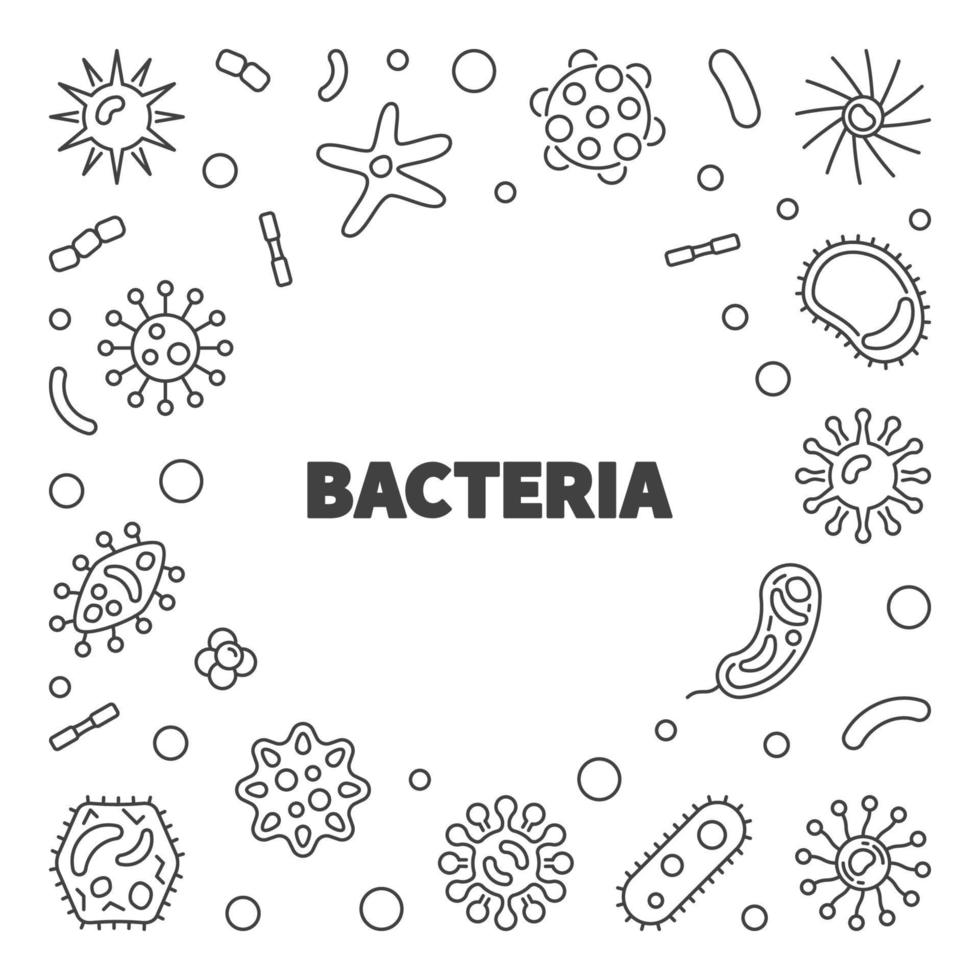 marco de concepto de vector de bacterias en estilo de esquema