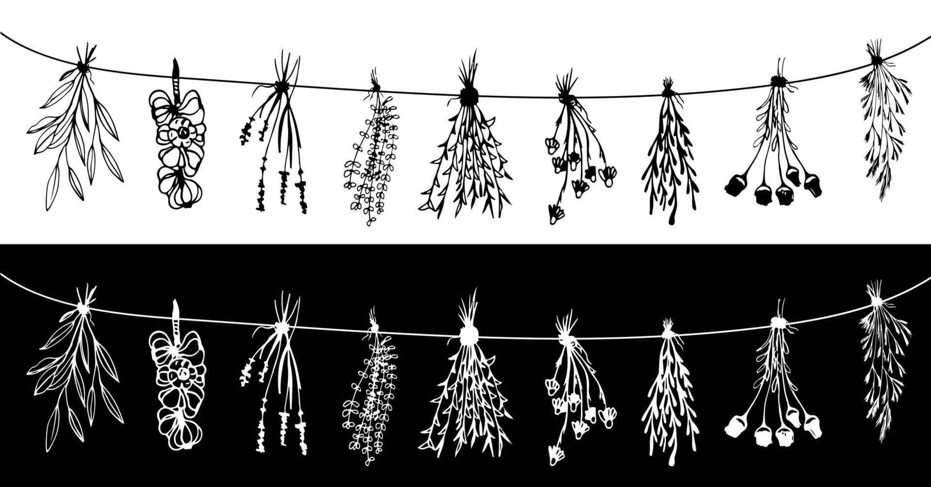 set Dry Herbs, Dried Flowers. Natural medicine. Black and White Vector illustration