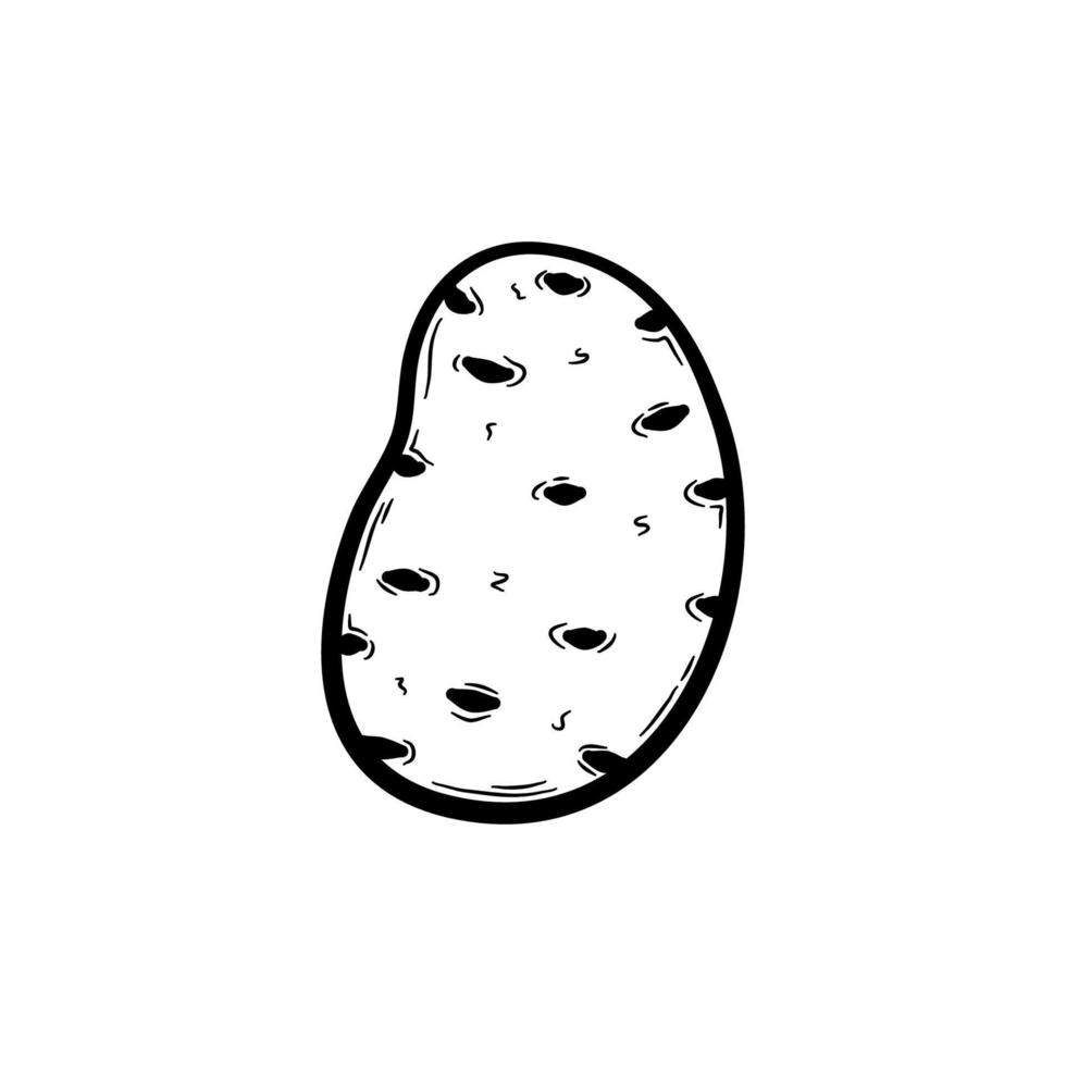 Hand drawn potato. Vegetable sketch isolated on white background.  Organic food, healthy eating. Flat vector illustration in doodle style.